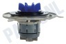 Whirlpool Vaatwasser Motor sproeiarm