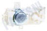 Whirlpool Vaatwasser 481010745148 Waterverdeler