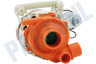 Smeg Vaatwasser Pomp Circulatie