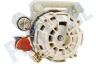 Smeg Vaatwasser Pomp Circulatie