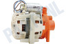 Smeg Vaatwasser Pomp Circulatie