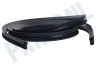 Haier Vaatwasser 01203000248 Deurrubber Rondom