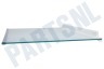 AEG Koelkast 4055588182 Glasplaat Compleet