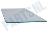 AEG Koelkast 2064451145 Glasplaat