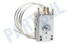 Arthur martin elux Koelkast Thermostaat Ranco K57-L5885 Cap.L=85cm