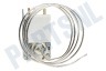 Arthur martin elux Koelkast Thermostaat Ranco K57-L5885 Cap.L=85cm