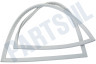 Schaub lorenz Koelkast 4668511800 Afdichtingsrubber Koelkast