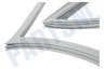 Schaub lorenz Koelkast 4669521000 Afdichtingsrubber Koelkast