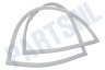 Schaub lorenz Koelkast 4669521000 Afdichtingsrubber Koelkast