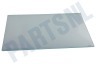 Beko Koelkast 4618830400 Glasplaat