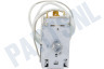 Beko Koelkast Thermostaat 4 cont. Cap.L=60cm.