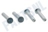 Liebherr Koelkast Scharnierstift
