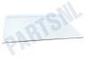 Liebherr Koelkast 7276114 Glasplaat