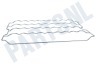 Liebherr Koelkast 9881078 Flessendraagrooster
