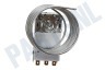 Alternatief Koelkast Thermostaat K57-L5861 Capl.180cm