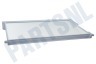 Privileg Koelkast Glasplaat 510x320mm. Compleet met randen.