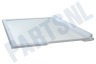 Privileg Koelkast Glasplaat 510x320mm. Compleet met randen.
