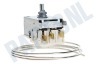 Whirlpool Koelkast Thermostaat Ranco K59S1884500 + lamphouder vervangt A13 0697