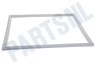 Pelgrim Koelkast 36463 Deurrubber Vriesgedeelte