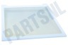 Samsung Koelkast DA97-16728A Glasplaat van vriesvak