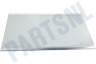 Samsung Koelkast DA97-13502G Glasplaat Compleet, Koelkast, RL31/29 Best,Silver