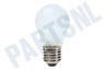 Samsung Koelkast 4713-001201 Lamp Globe 40W E27