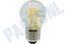 Alternatief 4713-001201 Lamp Globe 40W E27