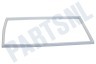 Unknown Koelkast 292261300 Afdichtingsrubber, Wit