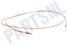 Dometic Koelkast Thermisch Element 2000mm.