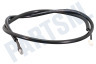 Waeco Koelkast Sensor