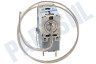 Inventum Koelkast Thermostaat 3 cont. Cap.L=55cm.