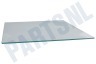 Haier Koelkast 0071400157 Glasplaat Glasplaat, afdekking boven die vrieskastladen