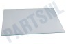 Haier Koelkast 0071400157 Glasplaat Glasplaat, afdekking boven die vrieskastladen