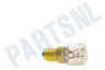 Etna Gloeilamp 230V 15W E14