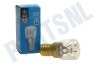 Etna Gloeilamp 230V 15W E14