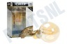 Calex 474504 Calex LED Volglas Filament Standaardlamp 4W 310lm E27