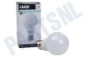 Calex 1301002900 LED Standaardlamp 4,9W E27 A60