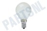 Calex 407602 Calex Kogel-nacht lamp 240V 10W 50lm E14 mat