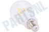 Balay Smart LED Filament Clear Kogellamp E14 Dimbaar