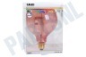 Calex Colors Nora G125 Quartz Pink LED lamp 4W Dimbaar