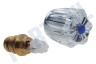 Dps Kraanbovendeel plexi 1/2' koud