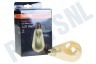 Osram 4058075808706 Osram Vintage 1906 LED Edison 2.8W E27