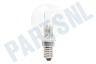 Etna Halogeenlamp Halogen Classic P 20W