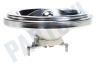 Osram Halogeenlamp Halospot 111