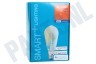 Ledvance Smart+ Edisonlamp E27 Dimbaar