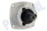 Dewalt 604488-11 Spindel Compleet met tandwiel