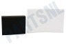 Electrolux Stofzuiger Filter Spons, stofhouder