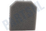 Electrolux Stofzuiger Filter Schuimfilter