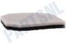Electrolux Stofzuiger Filter Schuimfilter