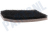 Electrolux Stofzuiger Filter Schuimfilter